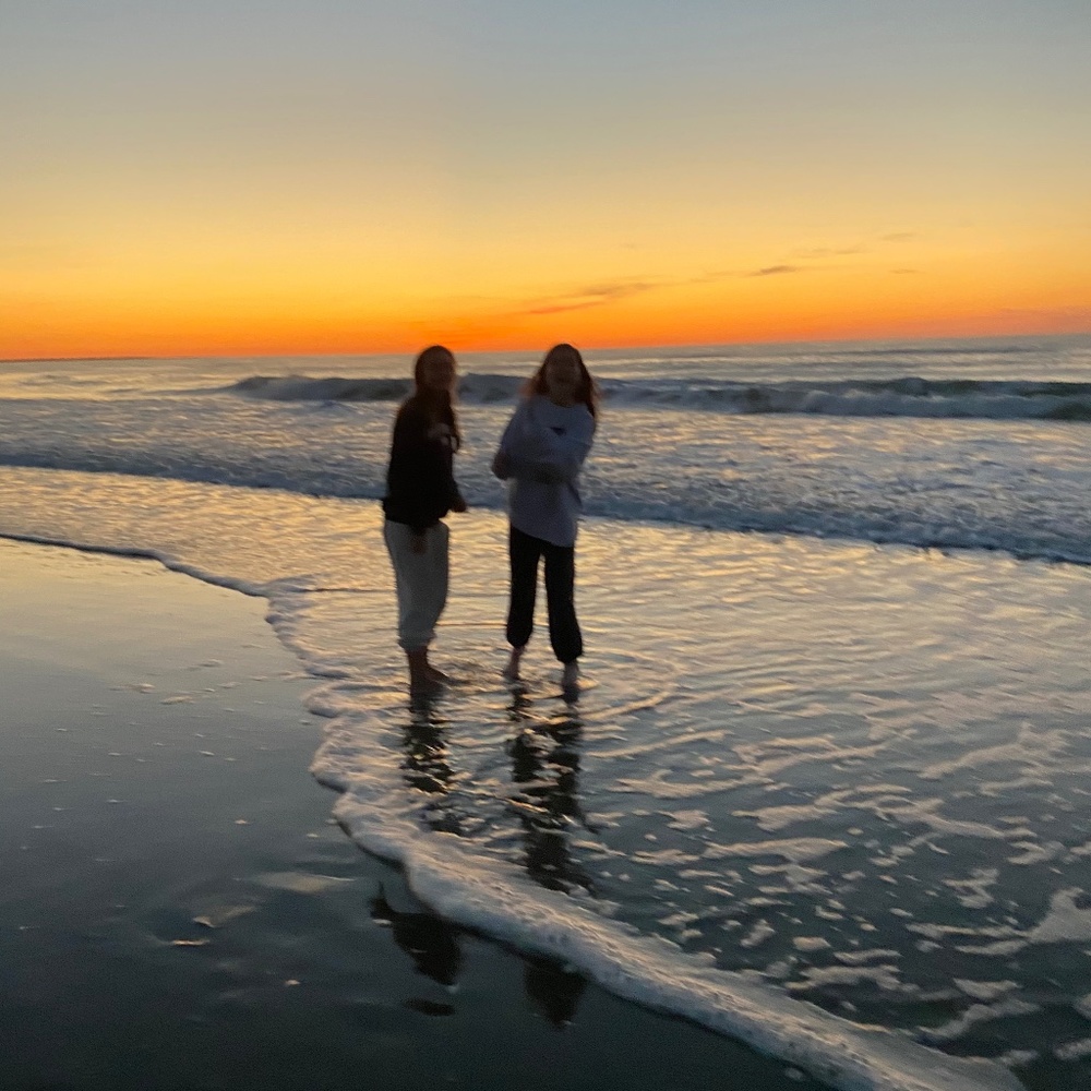 Meet your Posher, Molly